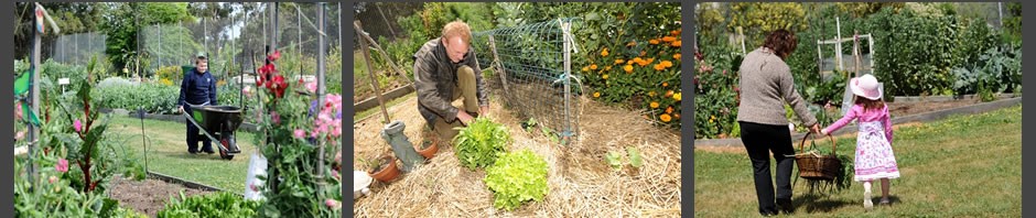 Ballarat Community Garden