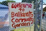 welcome to BCG